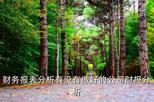 初學(xué)者財(cái)務(wù)分析分析什么公司，投資公司財(cái)務(wù)分析范文