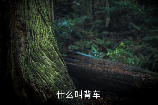 汽車背上叫什么來(lái)的，艙背車為何物
