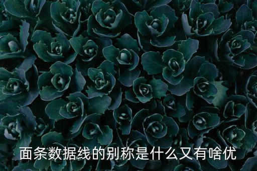 skewrons是什么牌子，skewrons是什么意思