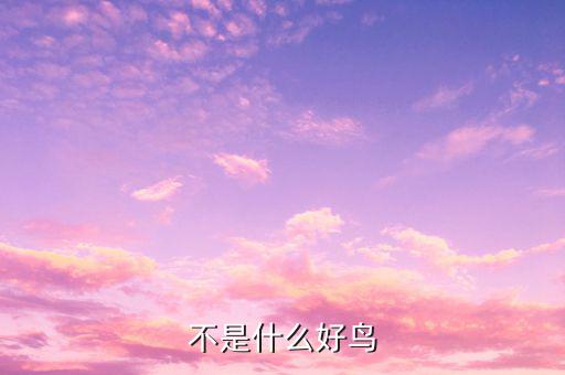 孟兵不是什么好鳥，不是什么好鳥