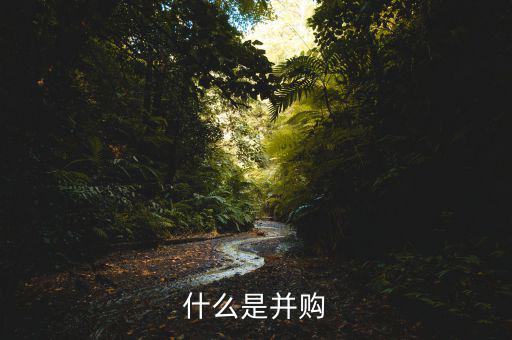 什么叫并購，什么是并購