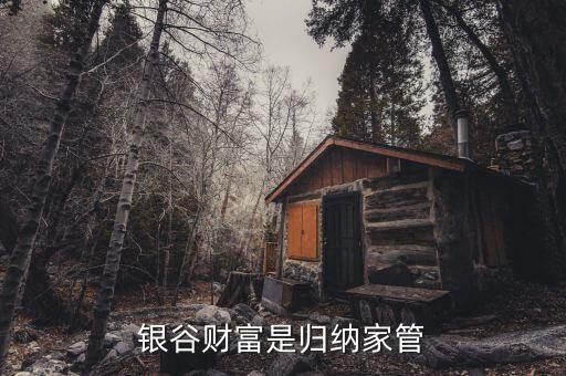 國(guó)家對(duì)銀谷財(cái)富是什么整策，銀谷財(cái)富是歸納家管