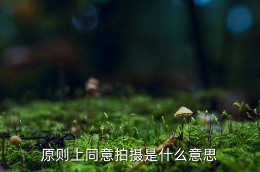 原則上同意是什么意思，原則上同意是什么意思