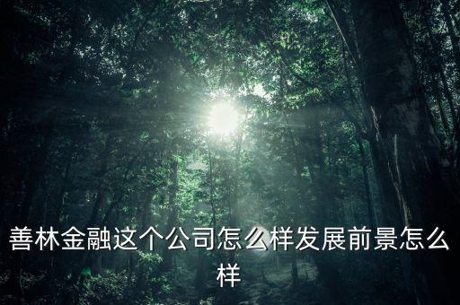 善林公司經(jīng)營什么，善林金融這個公司怎么樣發(fā)展前景怎么樣