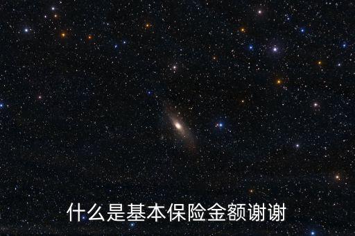 什么叫基本保險金額，基本保險金額是什么意思
