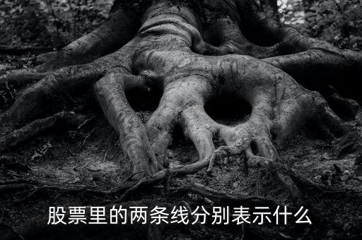股票伴侶線代表什么，股票行情圖線的意義