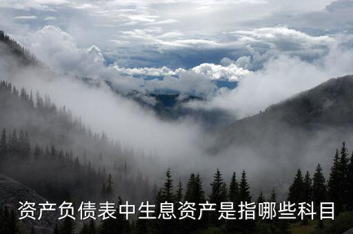 什么是生息負債，什么是速動資產(chǎn)流動負債和生息債務(wù)