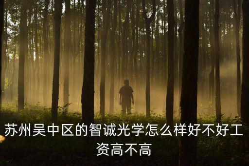 智誠光學(xué)里面主要生產(chǎn)什么，蘇州智誠光學(xué)公司怎么樣