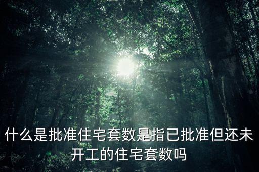 什么是批準住宅套數(shù)是指已批準但還未開工的住宅套數(shù)嗎