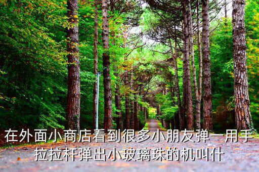 日本彈珠機(jī)叫什么，求助日語(yǔ)大神一個(gè)詞謝謝