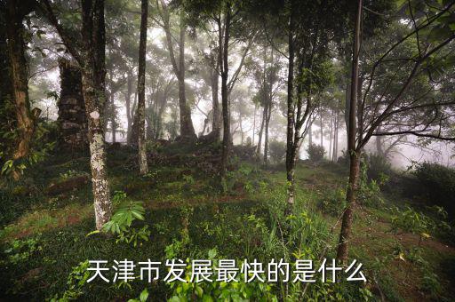 天津靠什么發(fā)展，天津市發(fā)展最快的是什么