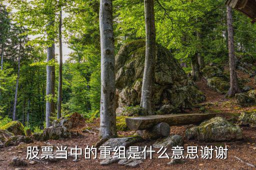 什么是重組，重組在電腦術(shù)語中什么意思