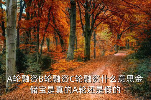 幾輪融資是什么意思，A輪融資B輪融資是什么意思