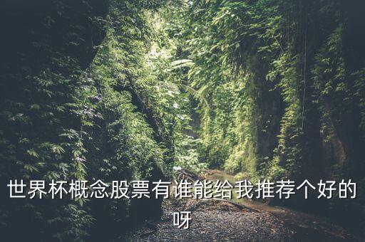 世界杯什么股票好，世界杯概念股票有誰能給我推薦個好的呀