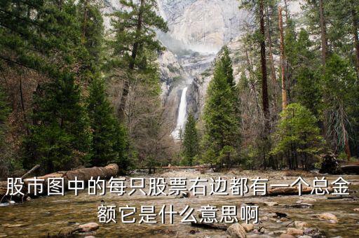 股市圖每只股票的總量是什么意思，股票總量是什么意思