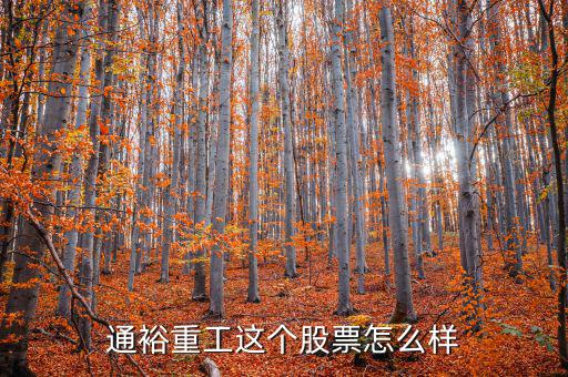 通裕重工是什么板塊，通裕重工這個股票怎么樣