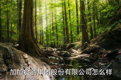  加加食品集團股份有限公司怎么樣