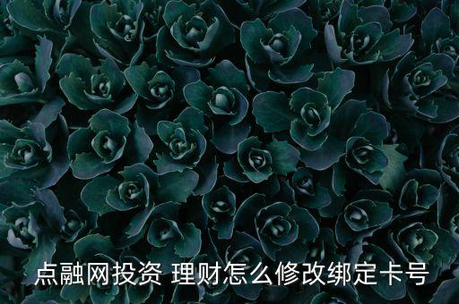 點(diǎn)融網(wǎng)理財怎么玩,剩下一萬個理財項目你愿意投嗎?