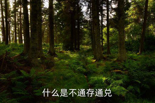 不通存通兌是什么意思，什么是不通存通兌