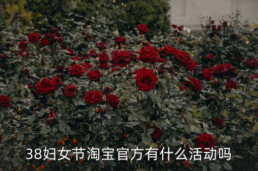 三八婦女節(jié)各個電商有什么活動，淘寶店在三八節(jié)可以搞些什么活動