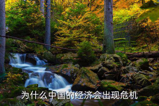 為什么中國(guó)將發(fā)生經(jīng)濟(jì)危機(jī)，中國(guó)為什么會(huì)面臨經(jīng)濟(jì)危機(jī)