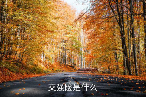 什么是交強(qiáng)險(xiǎn)，交強(qiáng)險(xiǎn)是什么