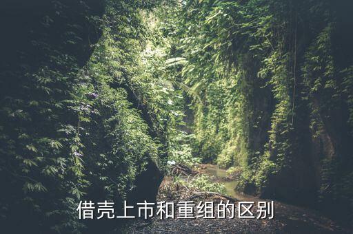 什么是借殼重組，下殺就買怕什么借殼重組什么概念