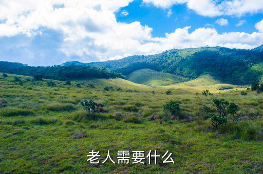 老百姓需要什么，老人需要什么