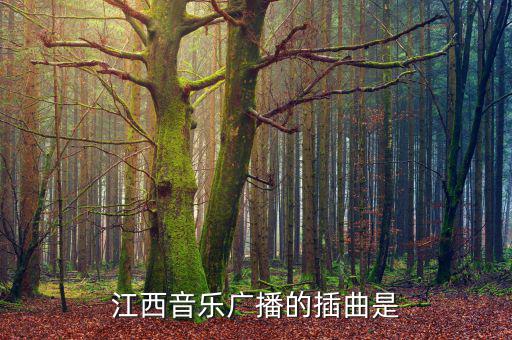 江西高速之歌是什么，江西音樂廣播的插曲是