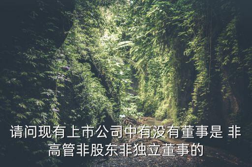 請問現有上市公司中有沒有董事是 非高管非股東非獨立董事的