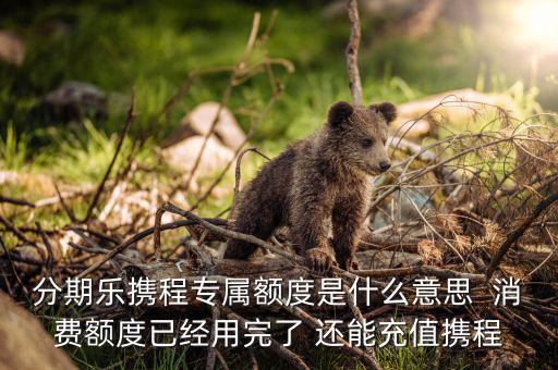 分期樂消費(fèi)額度是什么意思，分期樂免息額度是什么意思