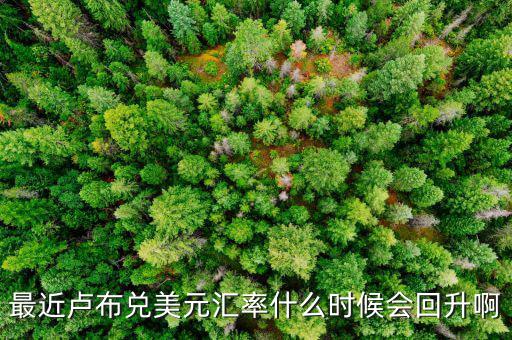 盧布什么時候能回升，最近盧布兌美元匯率什么時候會回升啊