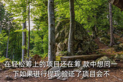 輕松籌提現(xiàn)有什么審核，輕松籌審核條件
