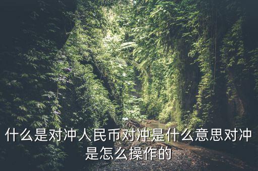 什么是基金a基金b對沖，什么是對沖人民幣對沖是什么意思對沖是怎么操作的