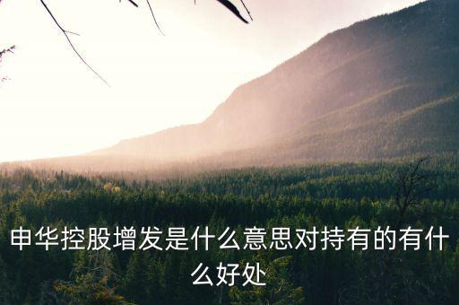 申華控股是什么板塊，申華控股怎么樣