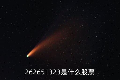 208393股票是什么，262651323是什么股票