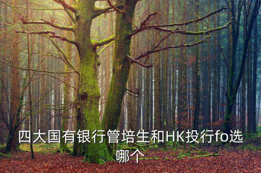 四大去投行有什么優(yōu)勢，女 研究生畢業(yè)想進投行 考研想考北大 清華 復(fù)旦或者香港大學(xué) 請問這四
