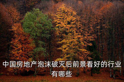 房地產(chǎn)泡沫后什么行業(yè)賺錢，如果真有一天中國房地產(chǎn)泡沫破了我們做點什么賺錢呢或者說有