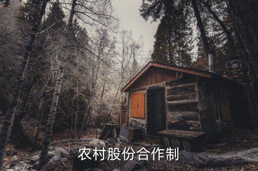 什么是農(nóng)民股份合作，什么叫農(nóng)村經(jīng)濟(jì)合作股份制