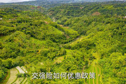  交強(qiáng)險如何優(yōu)惠政策