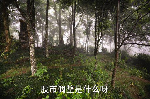 股市調(diào)整是什么意思，經(jīng)常有聽到股票調(diào)整是什么意思啊