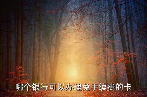 什么銀行的卡不用工本費，哪種銀行卡辦理時不需要工本費和年費