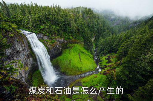 石墨礦怎么形成,石墨最常見于大理石、片巖或砂麻巖中