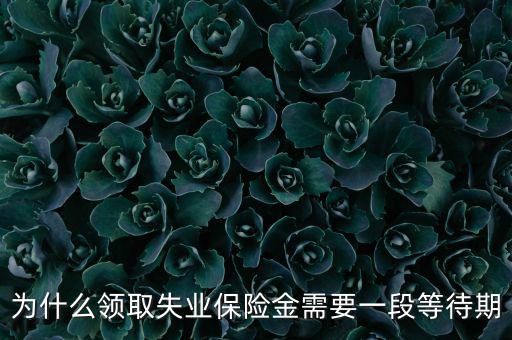 失業(yè)保險(xiǎn)為什么應(yīng)設(shè)等待期限，為什么領(lǐng)取失業(yè)保險(xiǎn)金需要一段等待期