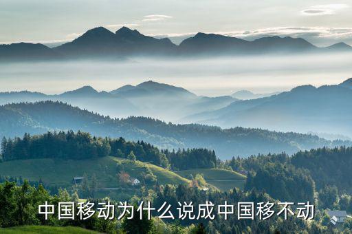 中國(guó)移動(dòng)為什么不轉(zhuǎn)型，中國(guó)移動(dòng)n1屏幕怎么不旋轉(zhuǎn)