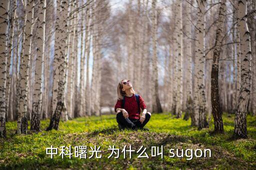 2014中科曙光什么時候上市的，股票為什么要選中科曙光
