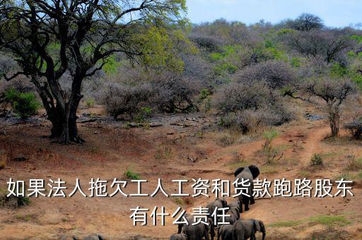 法人跑路屬于什么罪，申請勞動仲裁被告用人單位法人代表逃跑了怎么辦他將背負什么罪