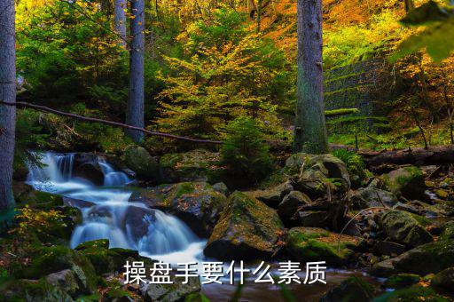 操盤手有什么要求，操盤手要什么素質