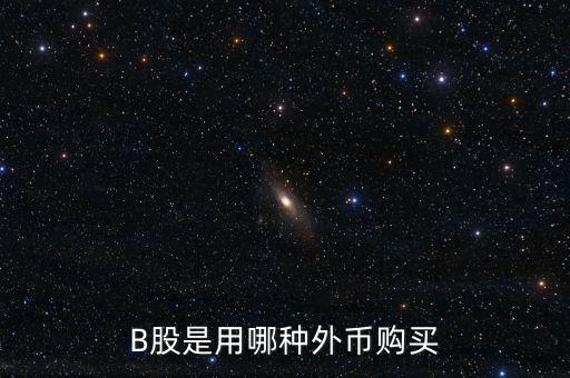 b股分紅支付什么貨幣，B股是用哪種外幣購買