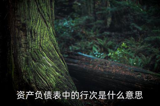 資產(chǎn)負債表中的行次是什么意思